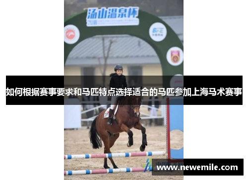 如何根据赛事要求和马匹特点选择适合的马匹参加上海马术赛事