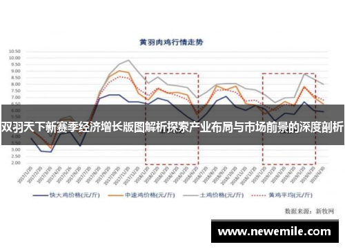 双羽天下新赛季经济增长版图解析探索产业布局与市场前景的深度剖析